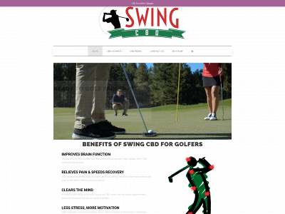 swingbalm.com snapshot