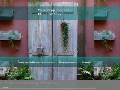 plantenenmore.nl snapshot