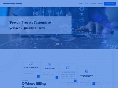 offshorebillingcompany.net snapshot