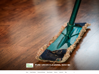 puregreencleaning.com snapshot