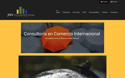 jnsinternationalgroup.com snapshot