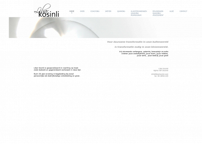 libarkosinli.com snapshot