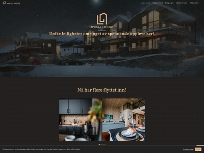 uvdal-lodge.no snapshot