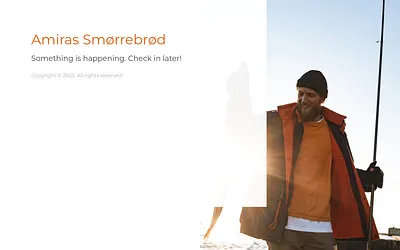 amiras.dk snapshot