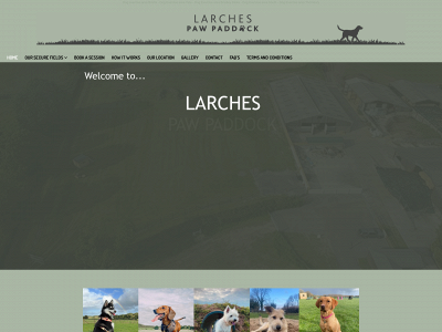 larchespawpaddock.co.uk snapshot
