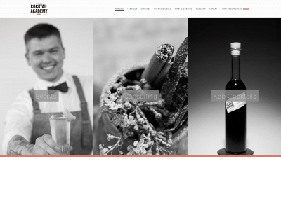 cphcocktailacademy.dk snapshot