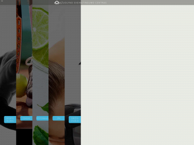 azuolynocentras.lt snapshot