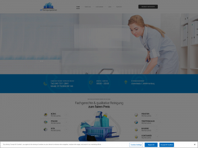 cpreinigungsdienst.de snapshot