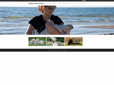 ambasadorius.com snapshot