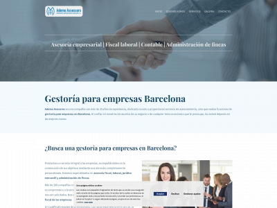 ademoasesores.es snapshot