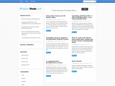 bloggerdude.net snapshot