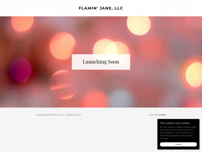 flaminjane.com snapshot