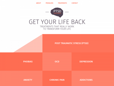 ptsdtreatment.co.uk snapshot