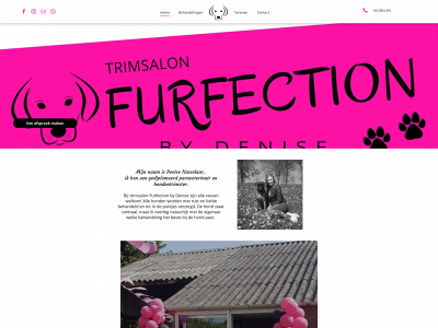 furfectionbydenise.nl snapshot