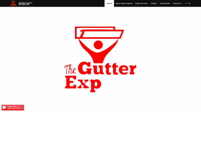 gutterexpertsnypa.com snapshot