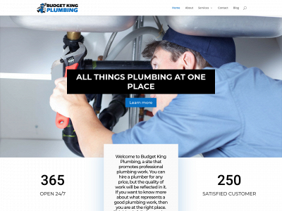 budgetkingplumbing.com snapshot