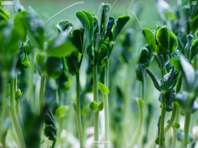 eat-umami.ch snapshot