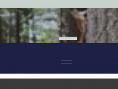 nordic-forest.com snapshot