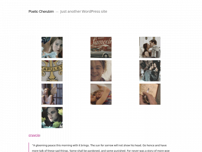 poetic-cherubim.com snapshot