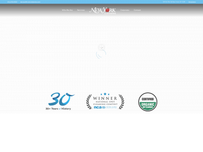 nydrycleaners.com snapshot