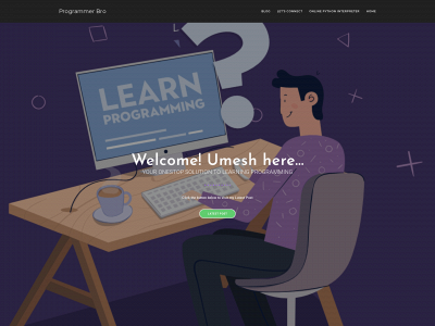 programmerbro.com snapshot