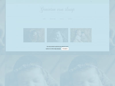annerog.nl snapshot