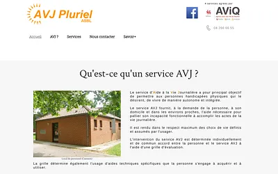 avjpluriel.be snapshot