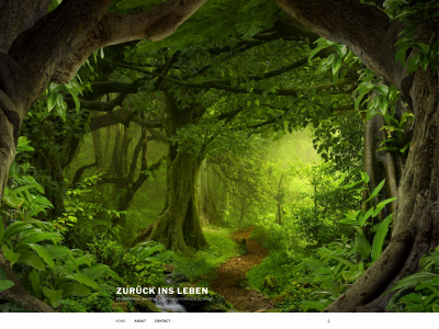 burnout-betroffen.ch snapshot