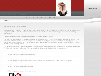 directtesting.co.uk snapshot