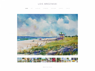www.loisbrezinskiartworks.com snapshot