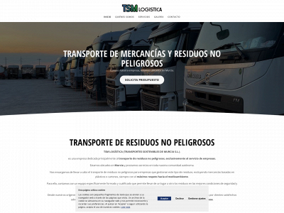 tsmlogistica.net snapshot