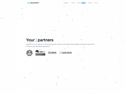 evonem.com snapshot