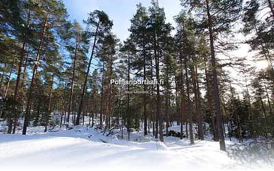 pohjanportaali.fi snapshot