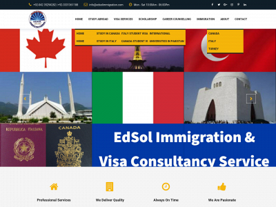edsolimmigration.com snapshot