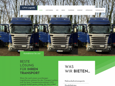 liya-logistik.de snapshot