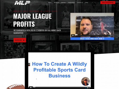 www.majorleagueprofits.com snapshot