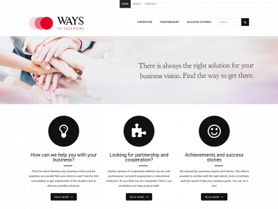 ways-to-solutions.com snapshot