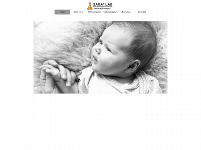 saraslab.com snapshot