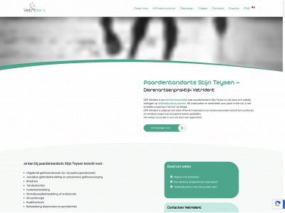 stijnteysen.be snapshot