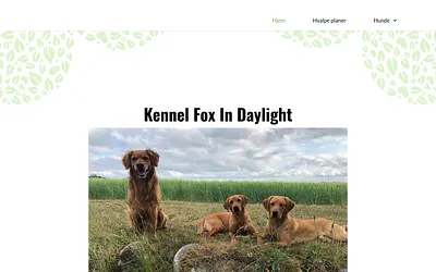 kennel-fox-in-daylight.dk snapshot