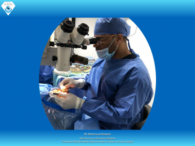 radwan-eyespecialist.com snapshot