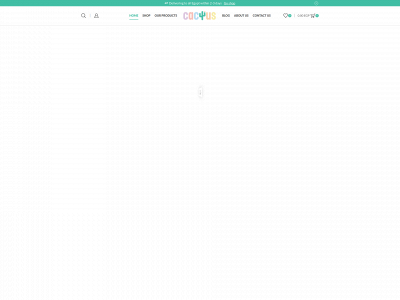 cactusstore.co snapshot