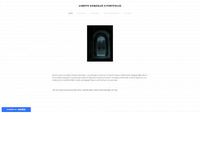 lizbethgonzalez0-e-portfolio.weebly.com snapshot