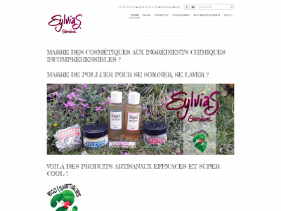 sylsap.weebly.com snapshot