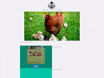 betterpullets.com snapshot