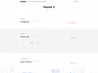 trafyko.com snapshot