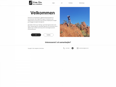 andersboss.dk snapshot