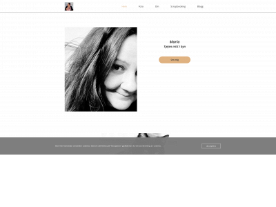 tjejenmittibyn.se snapshot