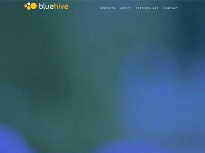 bluehivehr.com snapshot