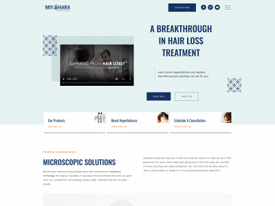 www.miyoharainternational.com snapshot